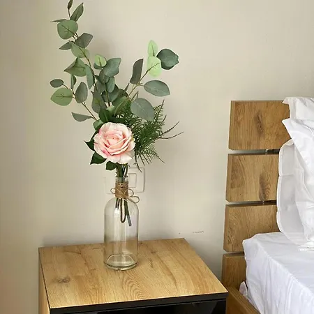 Heili's Cozy 2 Apartment *